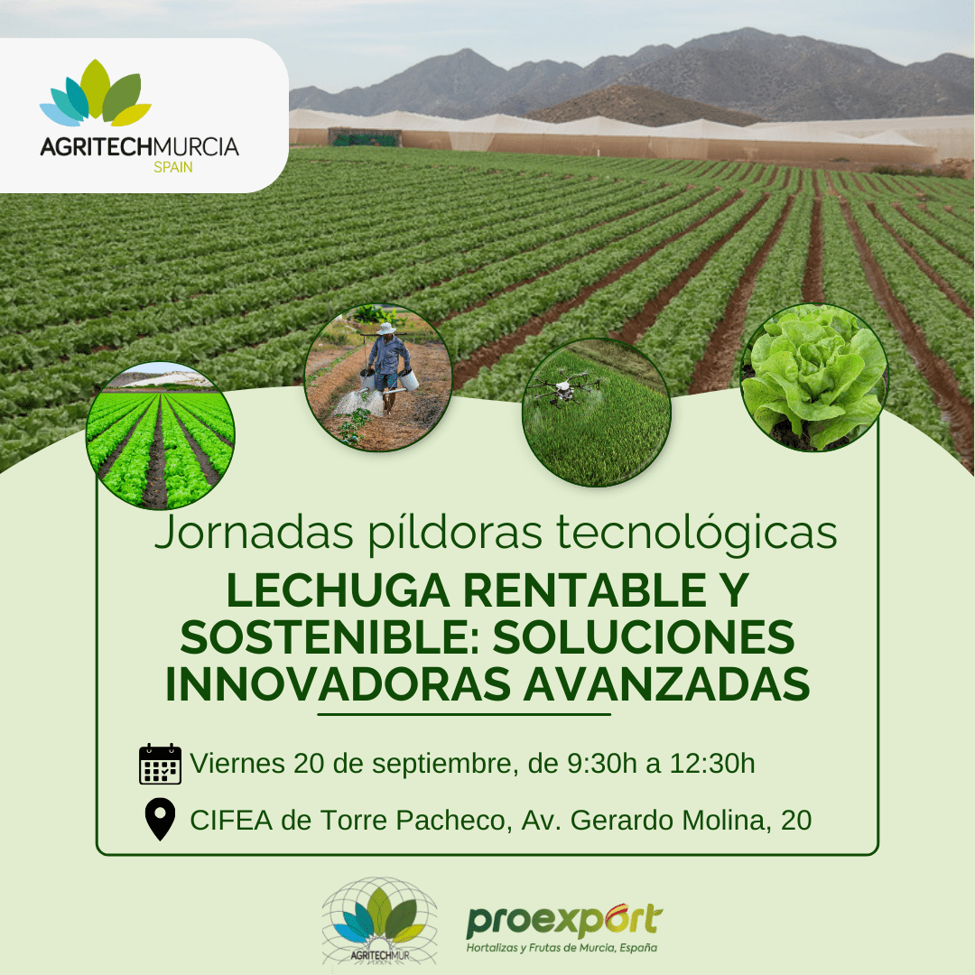 AgritechMurcia y Proexport analizará, en una Jornada técnica,  las soluciones innovadoras y avanzadas sobre la producción de “Lechuga Rentable y Sostenible”